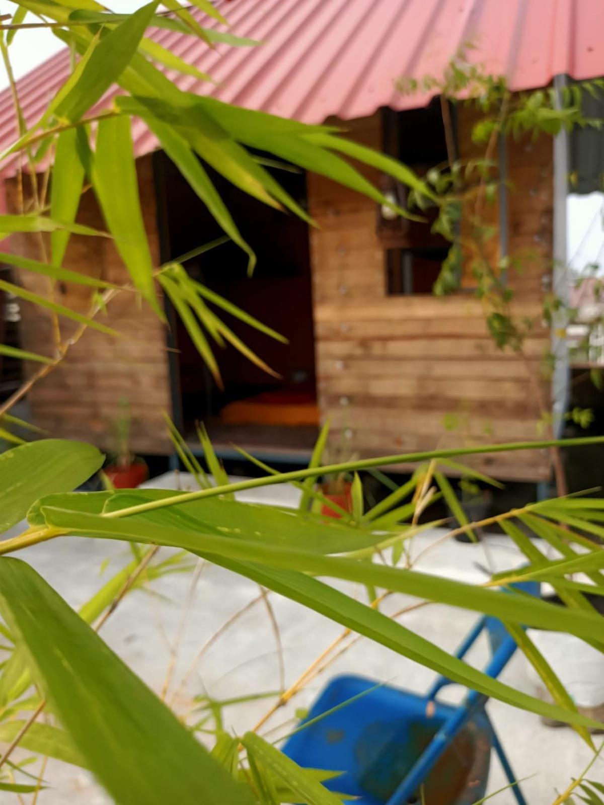 Adams Wood House Ayurveda Homestay Kochi エクステリア 写真